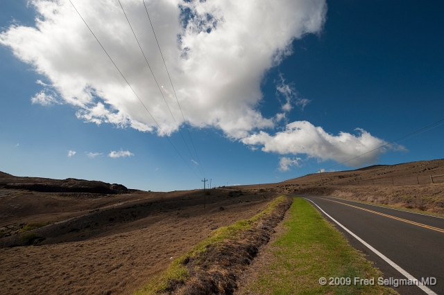 20091101_135649 D3.jpg - Along Kohala Mountain Road, Hawaii